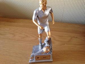 The trophy Josh will receive 